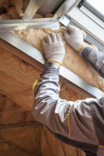 Best Insulation Installation Services in Collinsville, VA