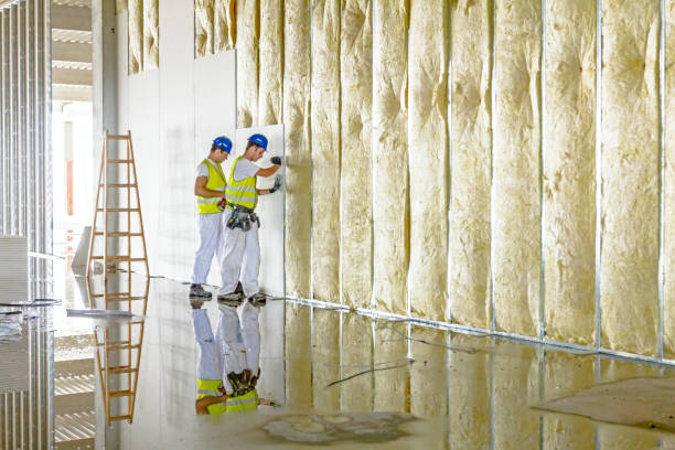 Best Energy Efficiency Solutions in Collinsville, VA